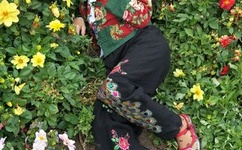 巜迈开腿让我看看你的森林